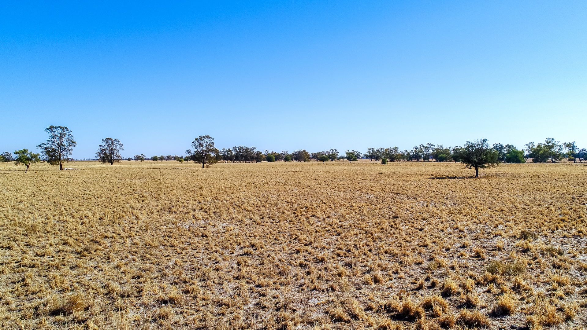 Clyde Cottage Pleasant View Lane, Collie NSW 2827, Image 0