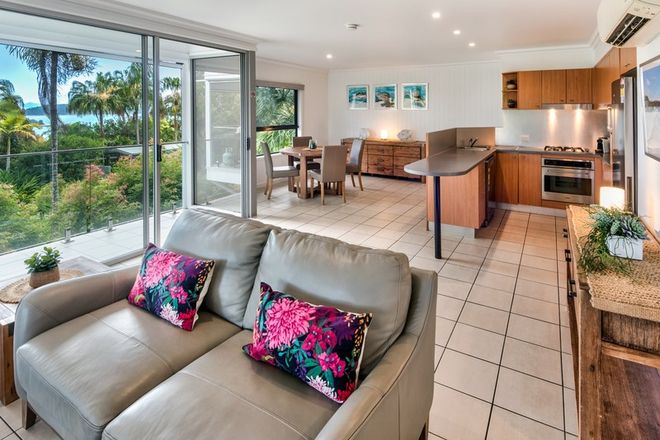 Picture of Oasis 14/5 Banksia Court, HAMILTON ISLAND QLD 4803