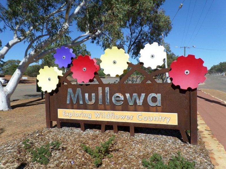 38 Birdwood Street, Mullewa WA 6630, Image 2