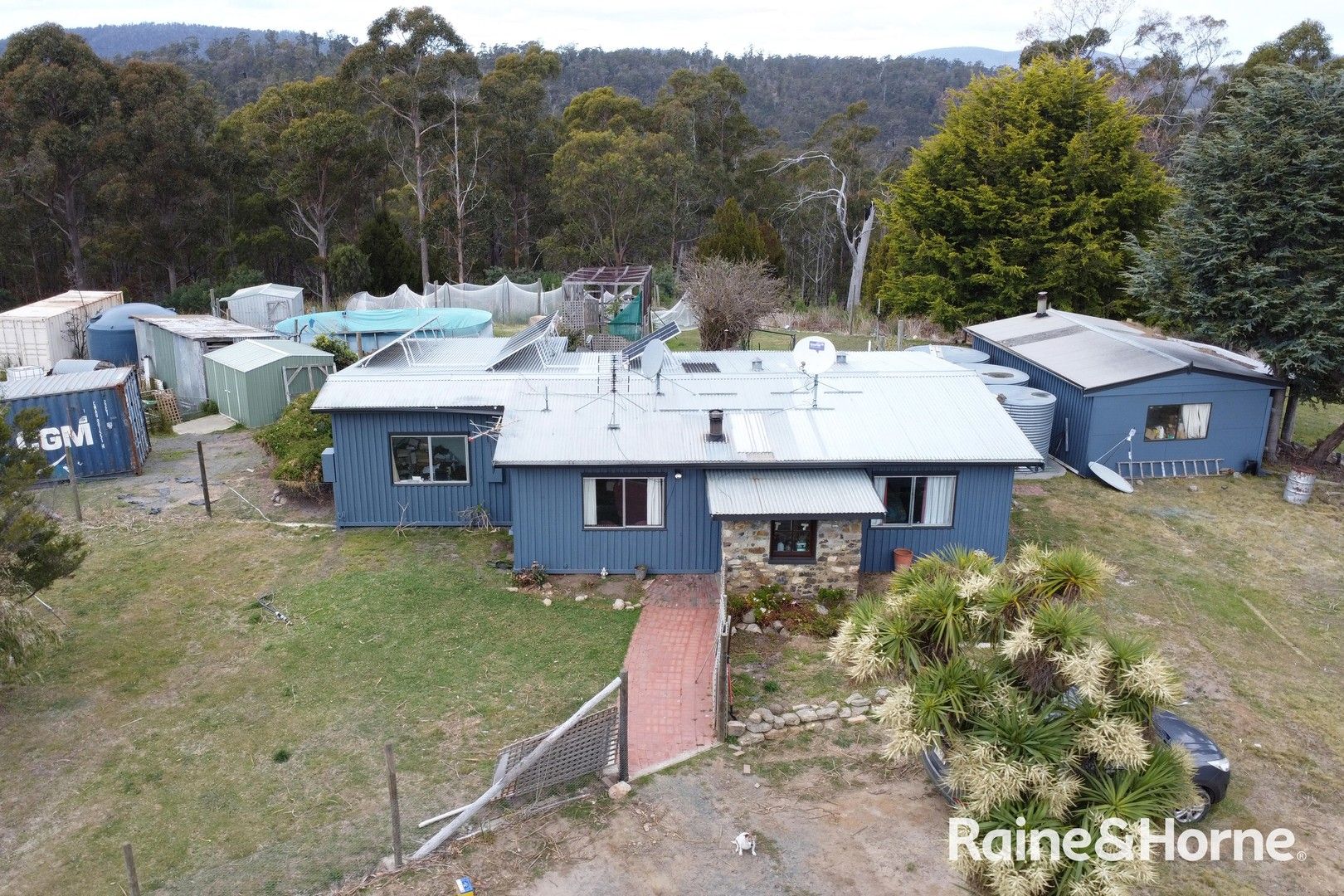 244 White Hill Road, Forcett TAS 7173 Domain