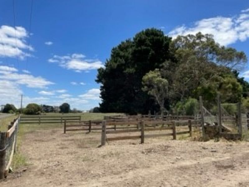 Terang VIC 3264 House for Sale Domain