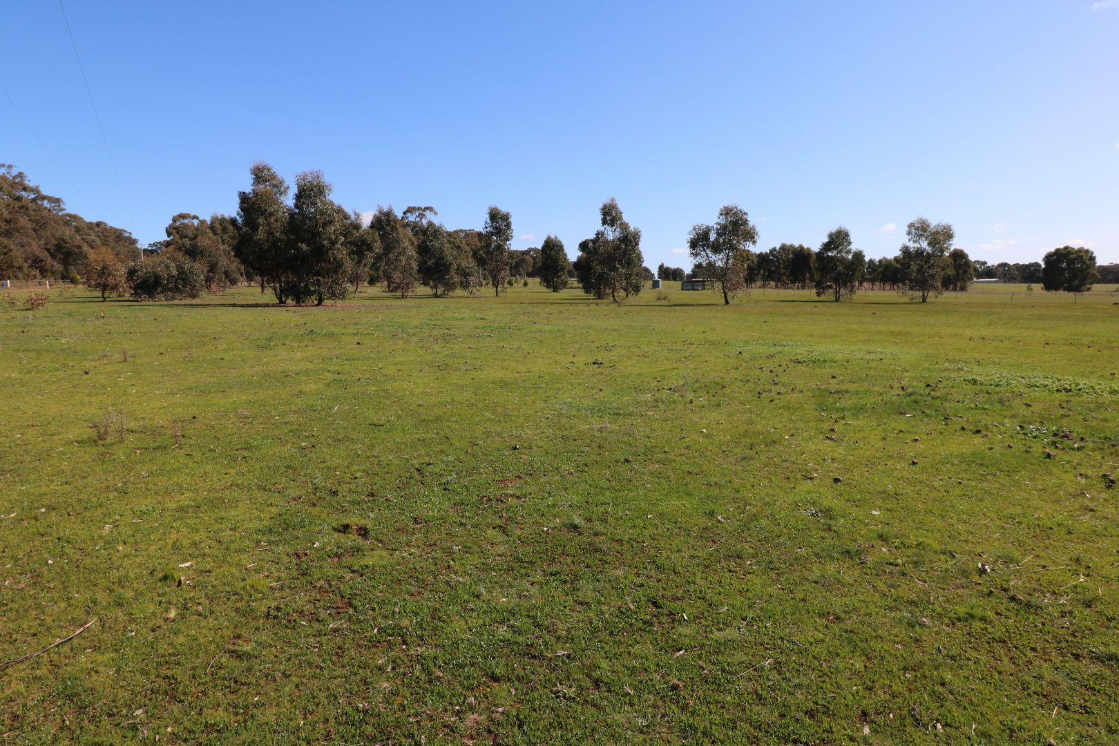 Lot 1 Scotts - Titwobble Lane, Wedderburn VIC 3518, Image 2