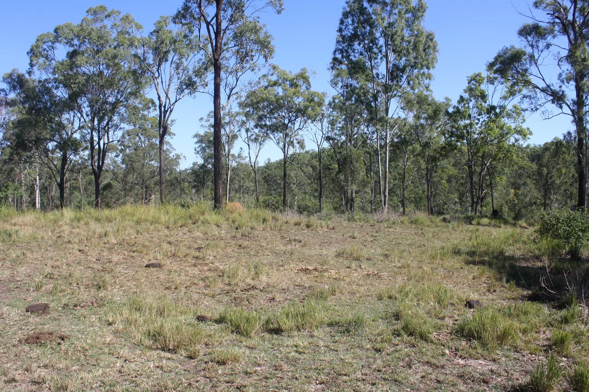 Image 13
