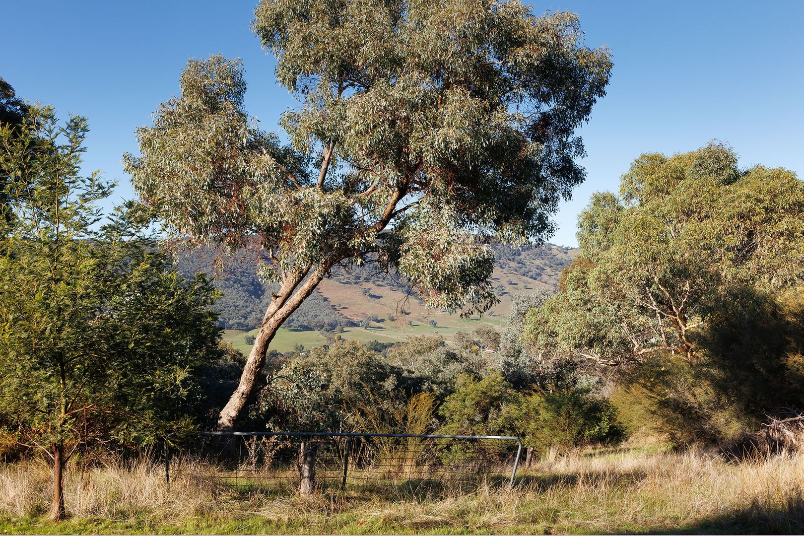 3021 Beechworth-Wodonga Road, Leneva VIC 3691, Image 1