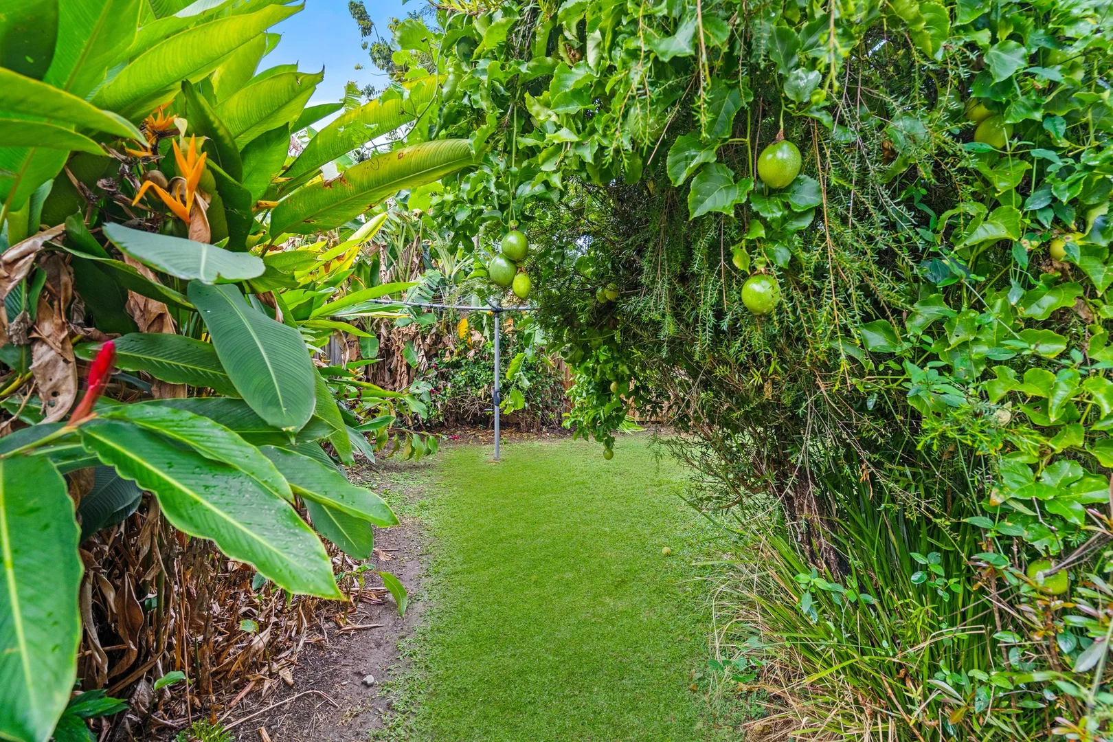 Image 9