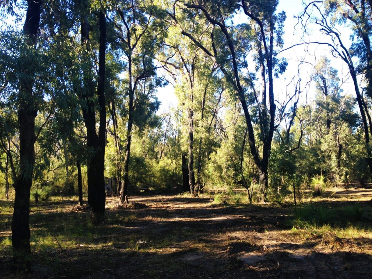 Coolah NSW 2843 Vacant Land for Sale 349,000 Domain