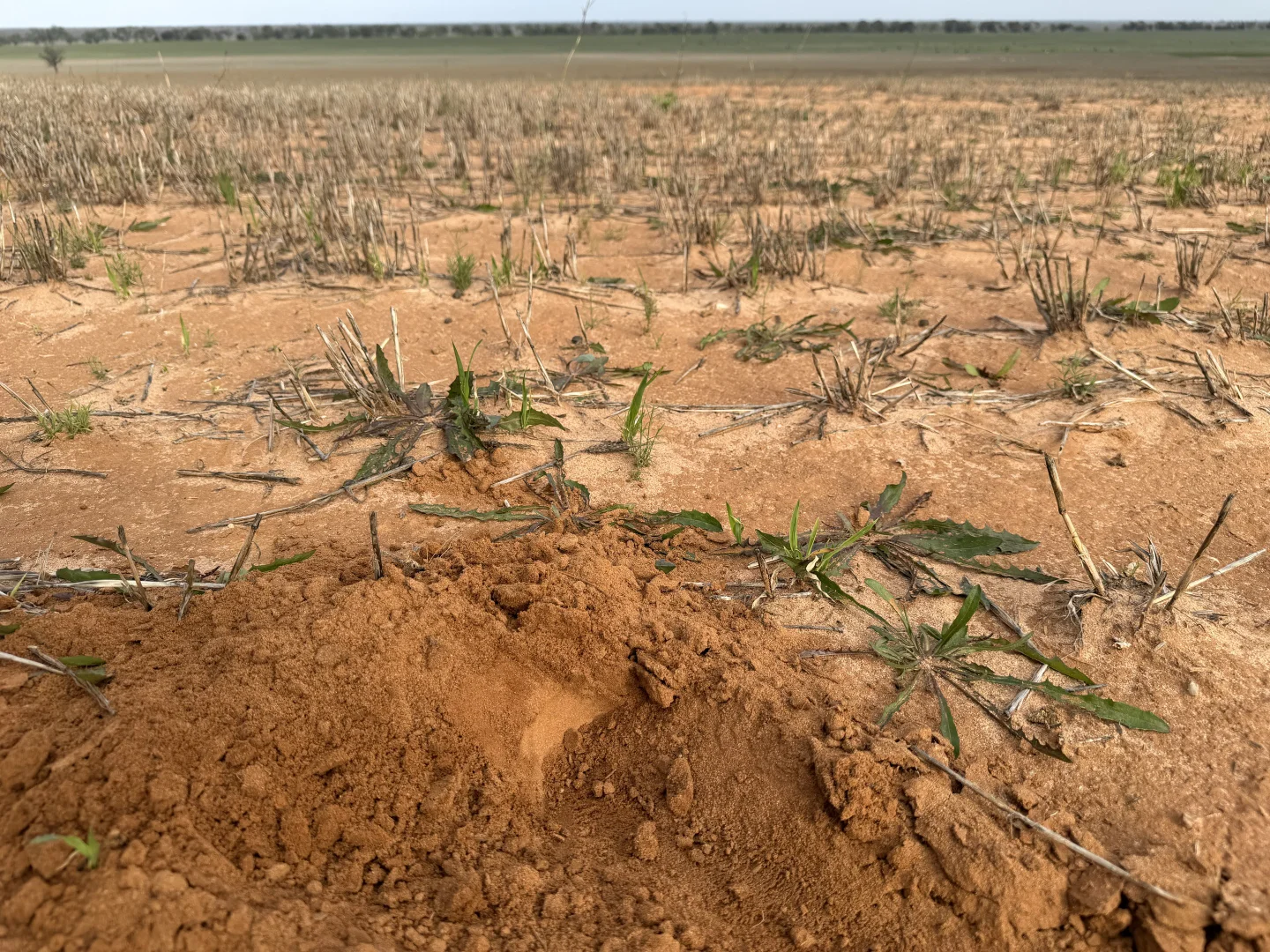 Additional image 9 of 'Grogans' Banyenong-Jeffcott Road, Jeffcott North VIC 3480