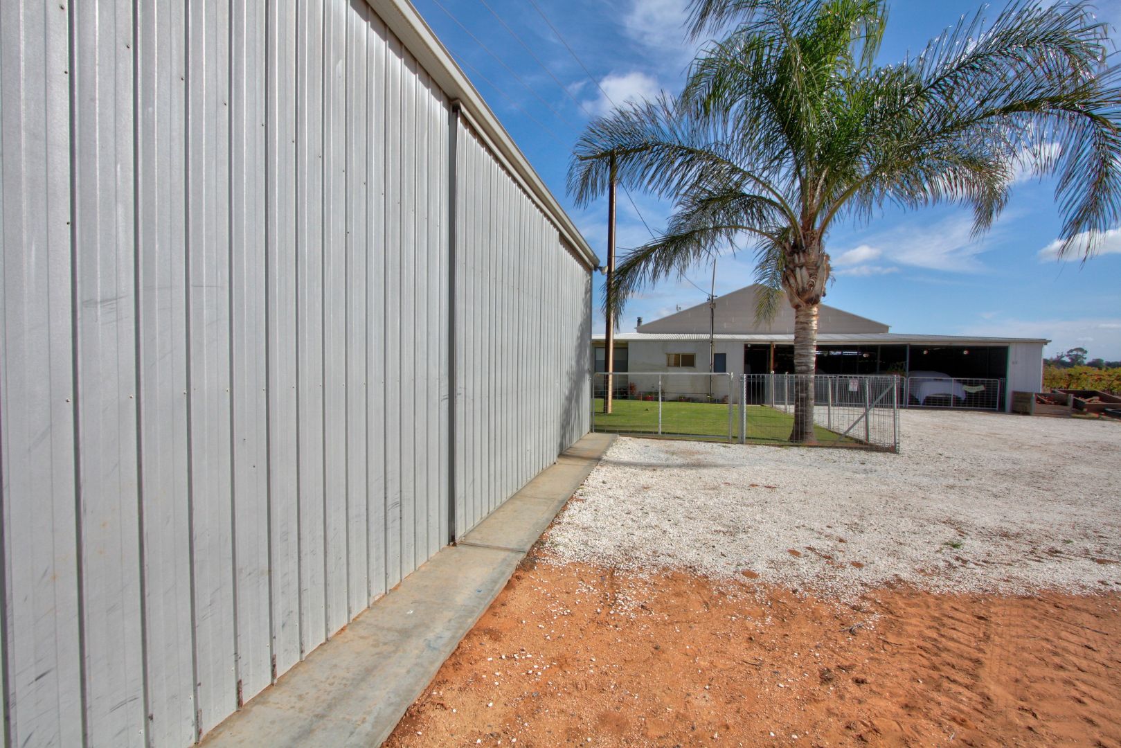62 Tunkin Road, Barmera SA 5345 Specialist Farm for Sale 585,000