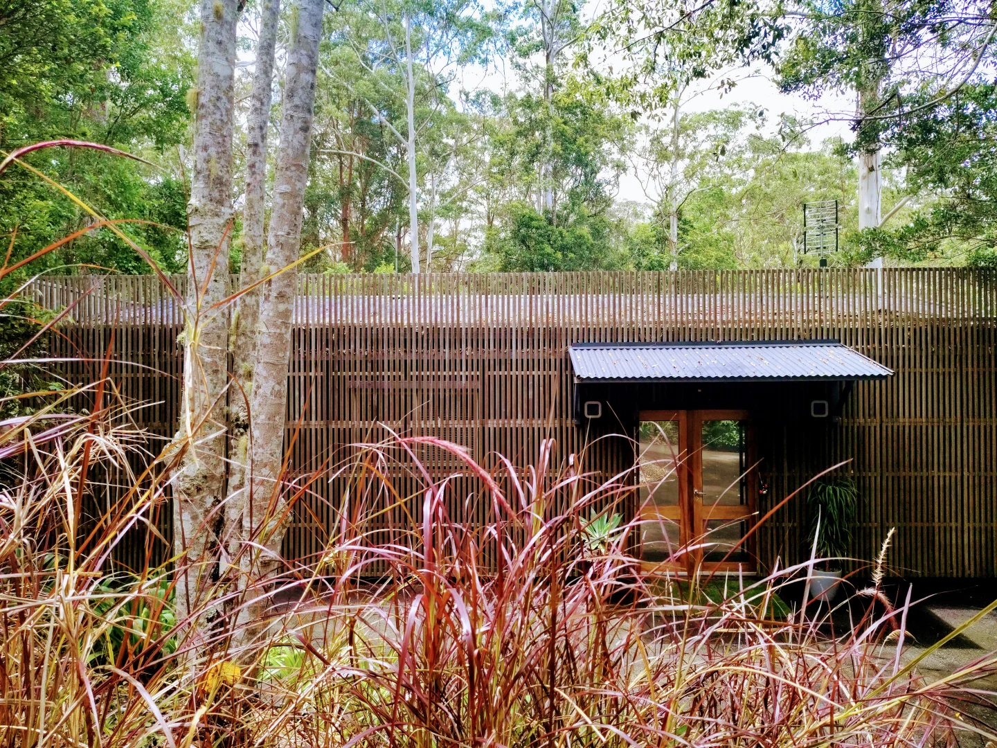 Additional image 13 of 126 Narrows Road, North Maleny QLD 4552