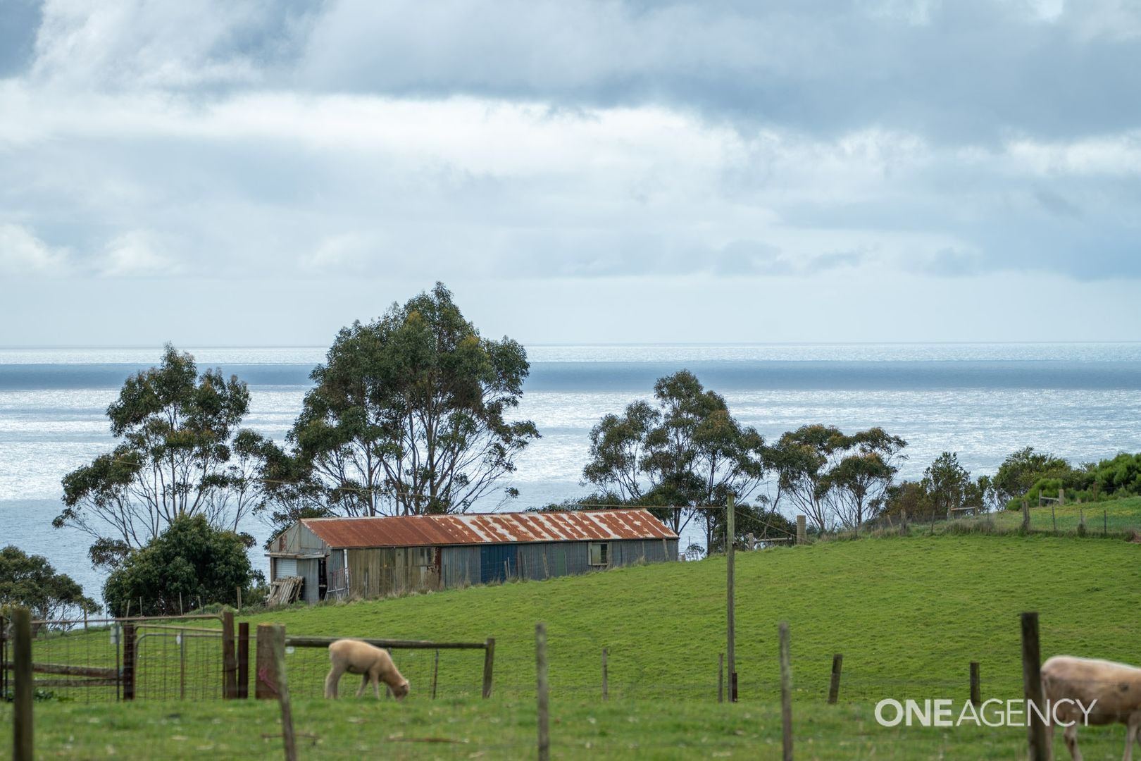 248 Tollymore Road, Table Cape TAS 7325, Image 1