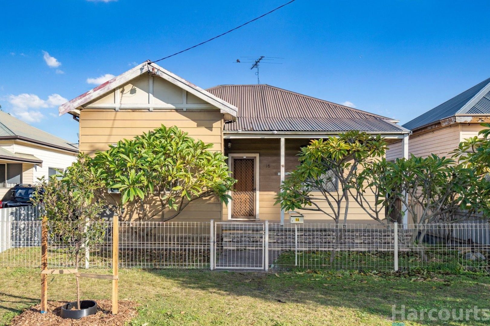 16 Holt Street, Mayfield East NSW 2304, Image 0