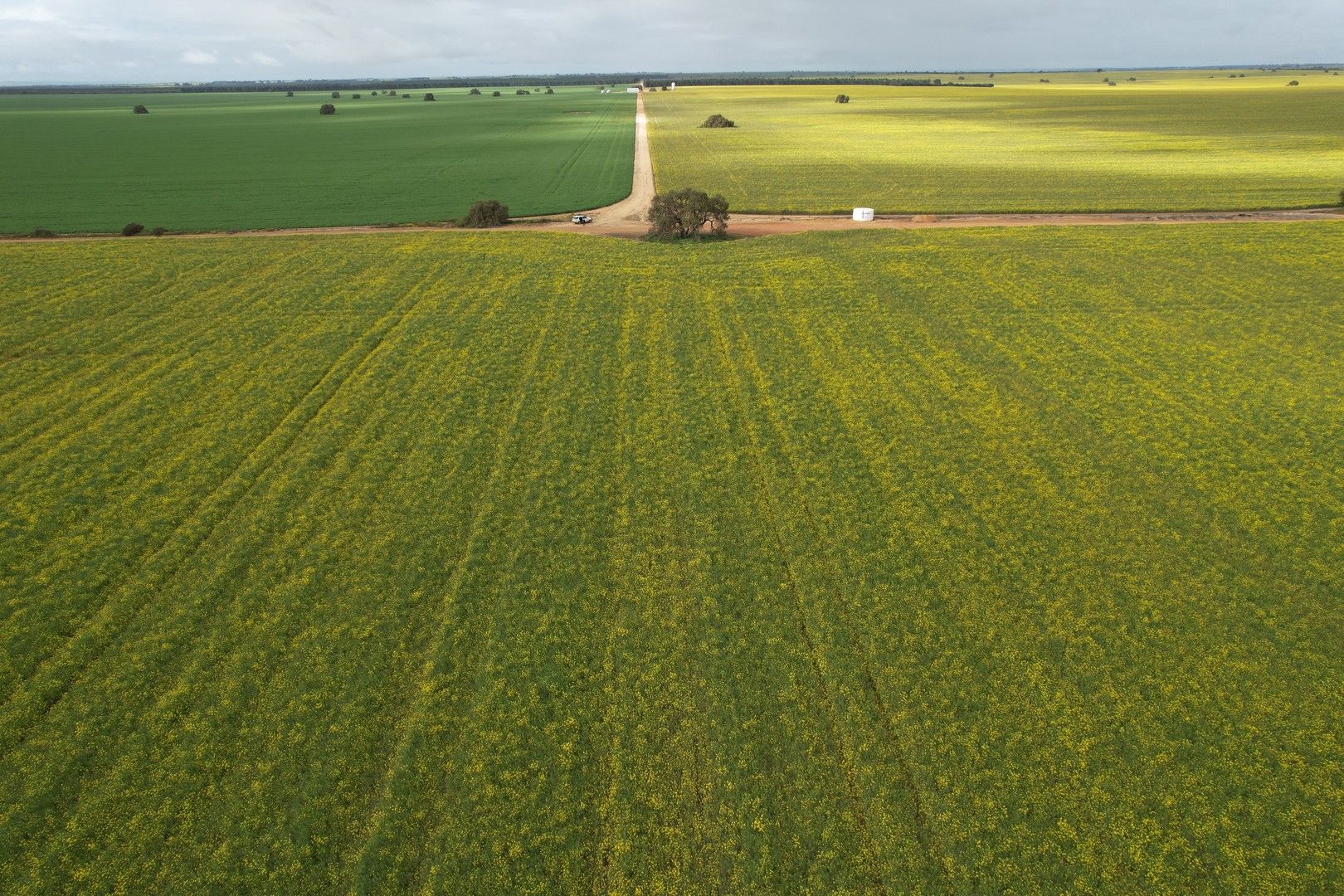 Minore, Rowes Road, Moora WA 6510 Specialist Farm for Sale Domain