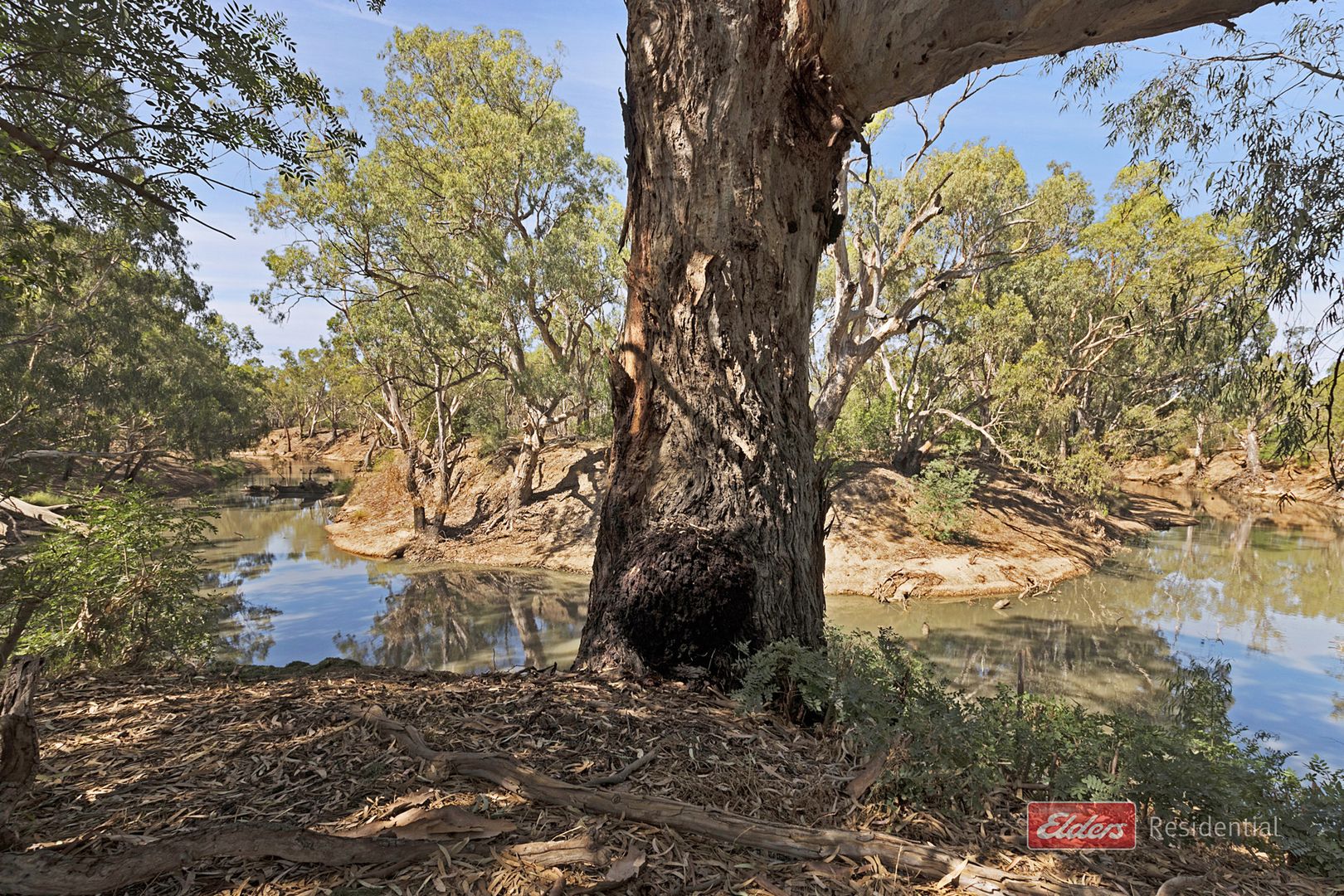 64 Simmie Street, Echuca VIC 3564, Image 2