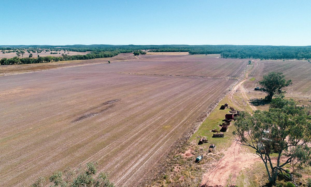 142 Sawpit Creek Road, Gunnedah NSW 2380 House for Sale Domain