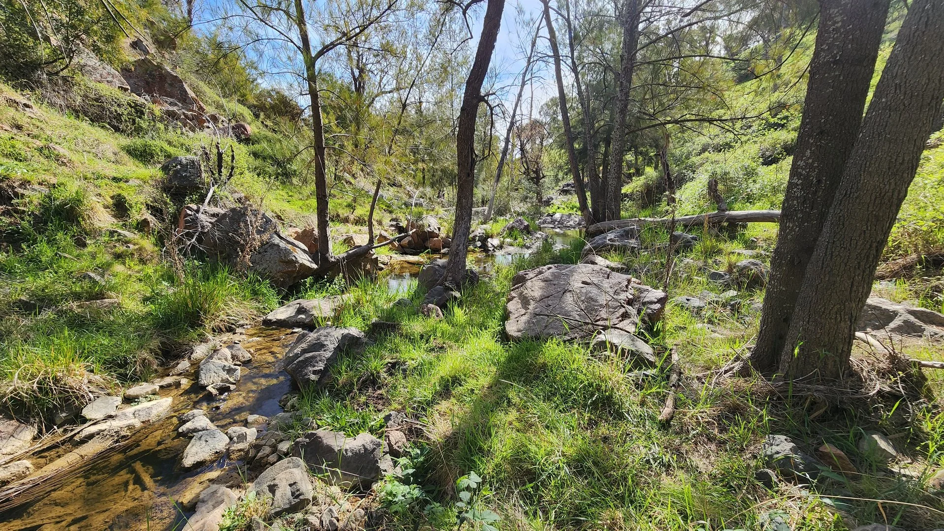 Additional image 20 of 143 Rochford Road, Wallaroo NSW 2618