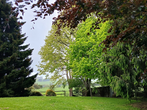 Image 13