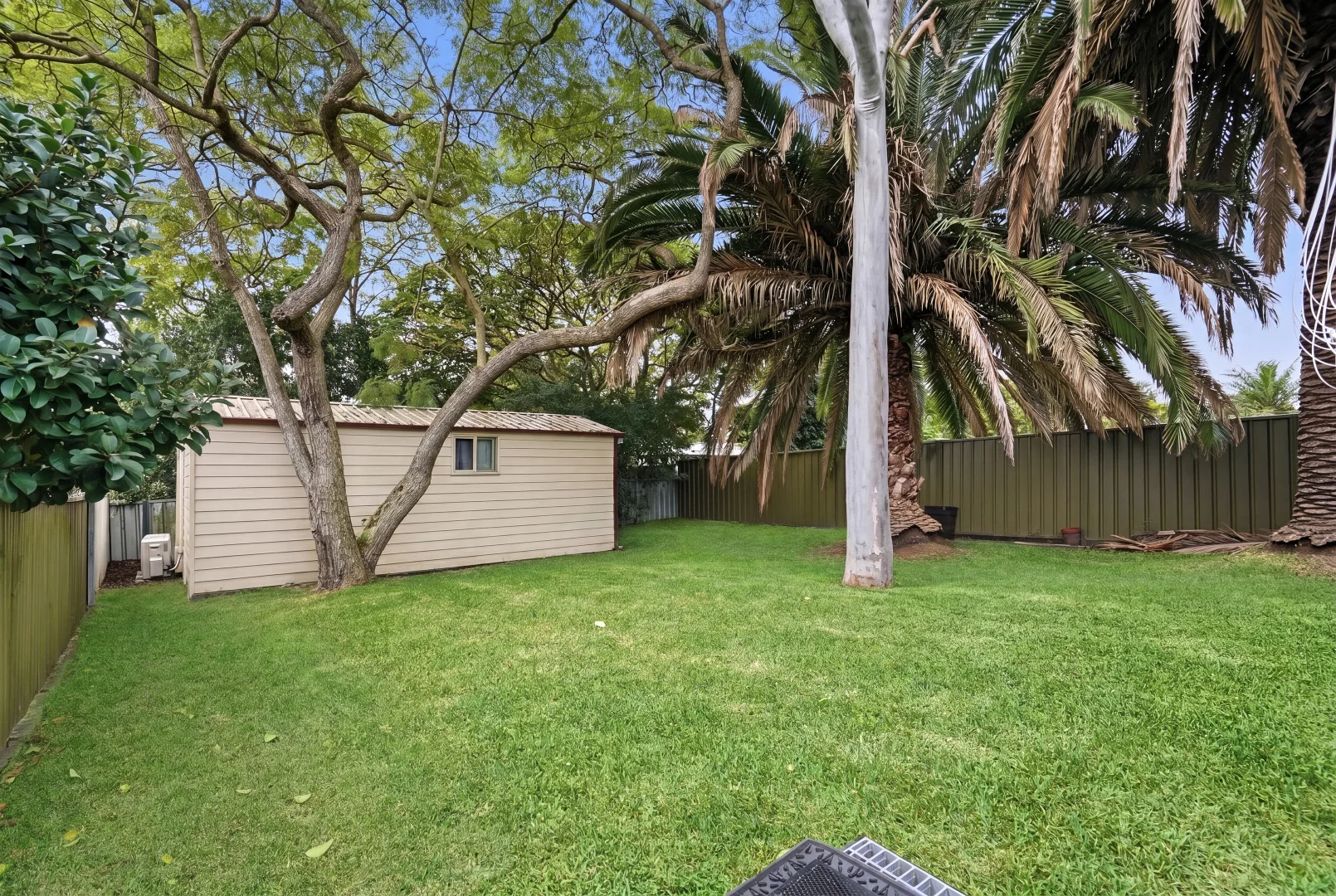 Image 10