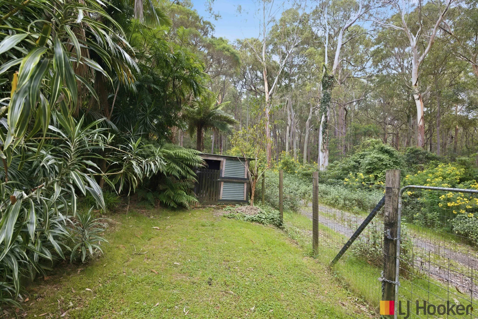 Image 32