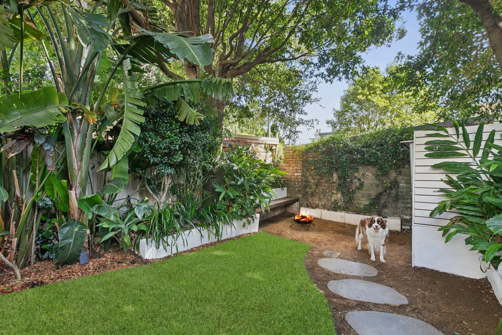 Additional image 10 of 50 Renwick Street, Leichhardt NSW 2040