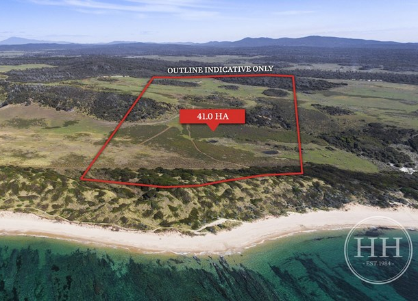 1061 Soldiers Settlement Road, Beechford TAS 7252