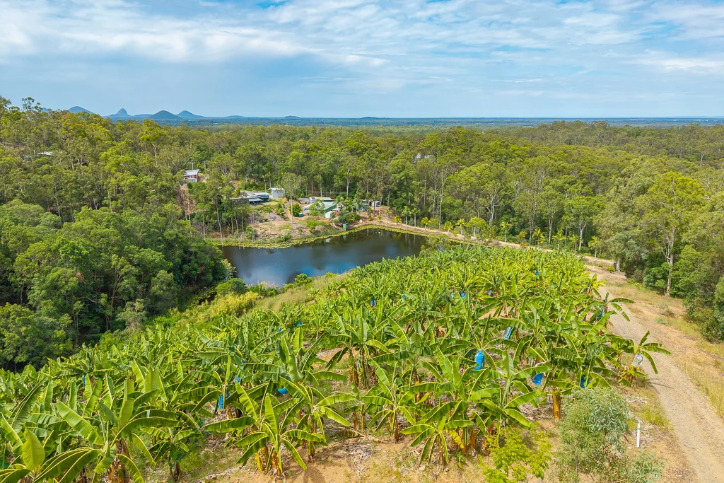 349 Jackson Road, Wamuran QLD 4512