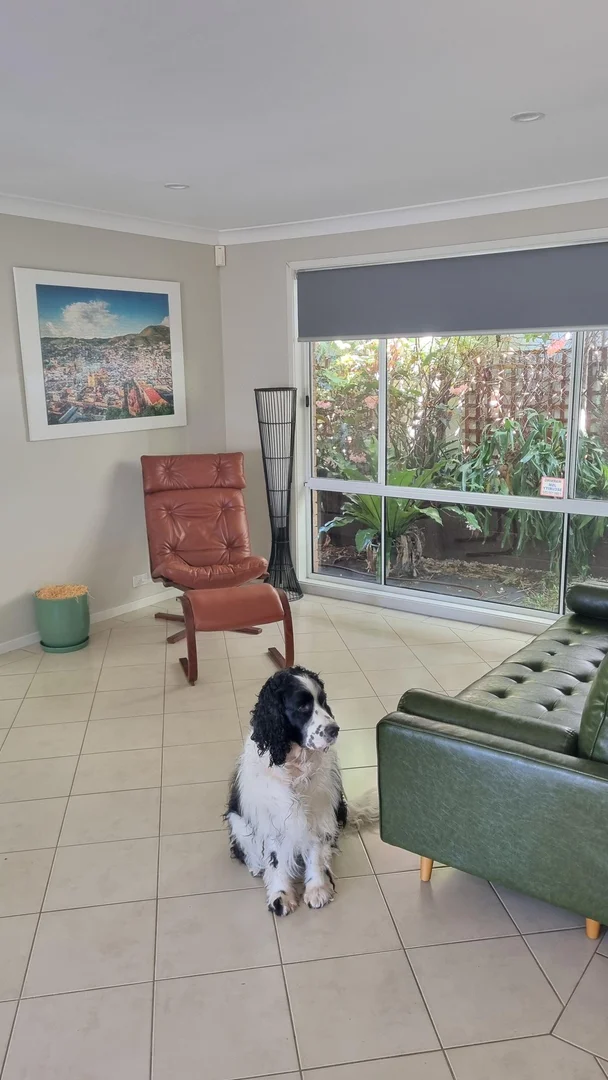 Additional image 5 of Albion Park NSW 2527