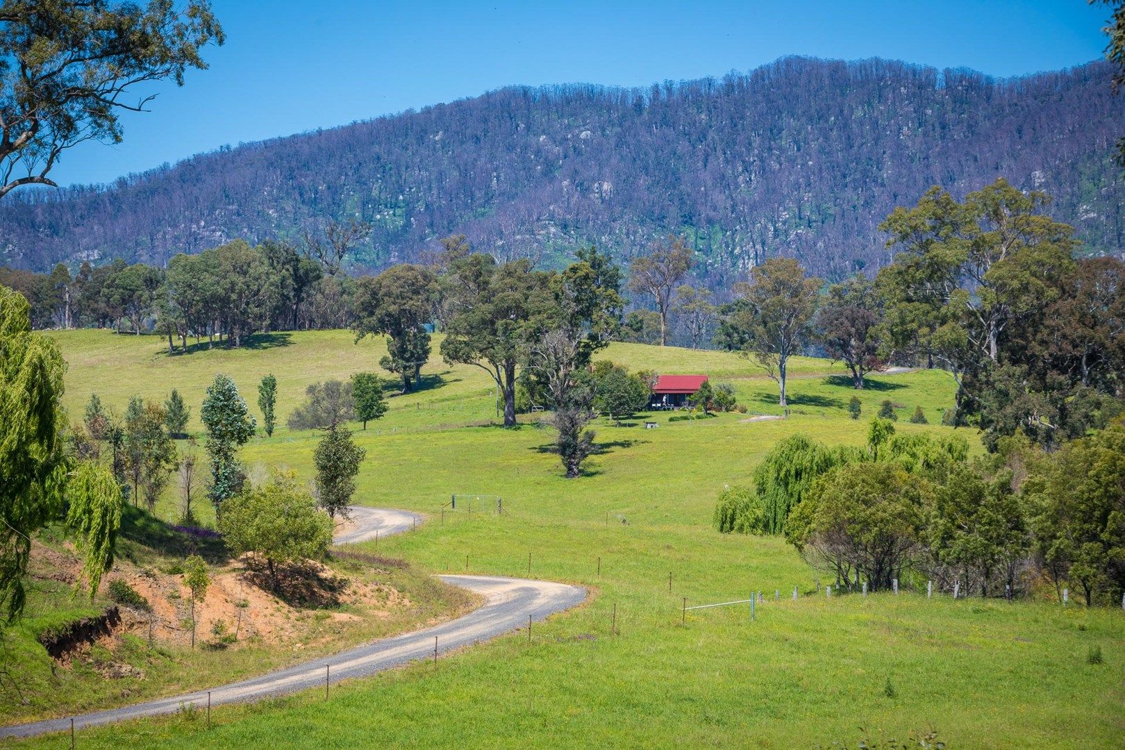 276 Murrabrine Lane, Cobargo NSW 2550, Image 1