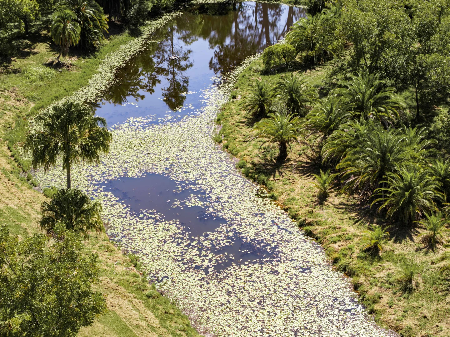 Additional image 26 of 370 Orara Road, Lanitza NSW 2460