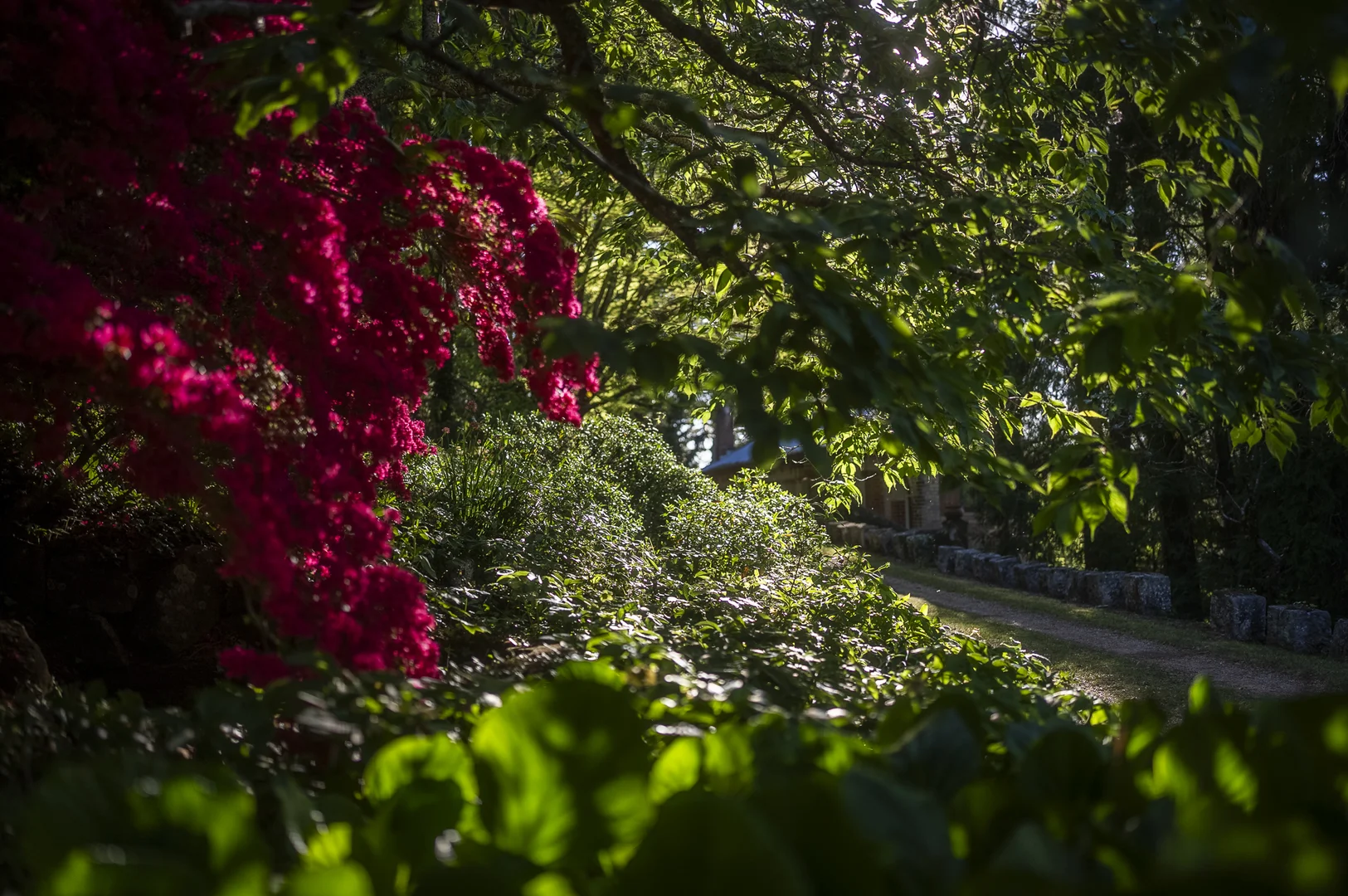 Additional image 22 of 68 - 76 Mount Irvine Road, Mount Wilson NSW 2786