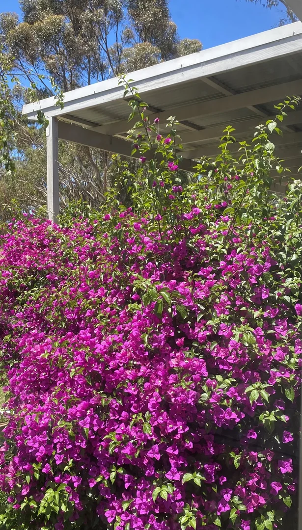 Additional image 15 of Cowes VIC 3922