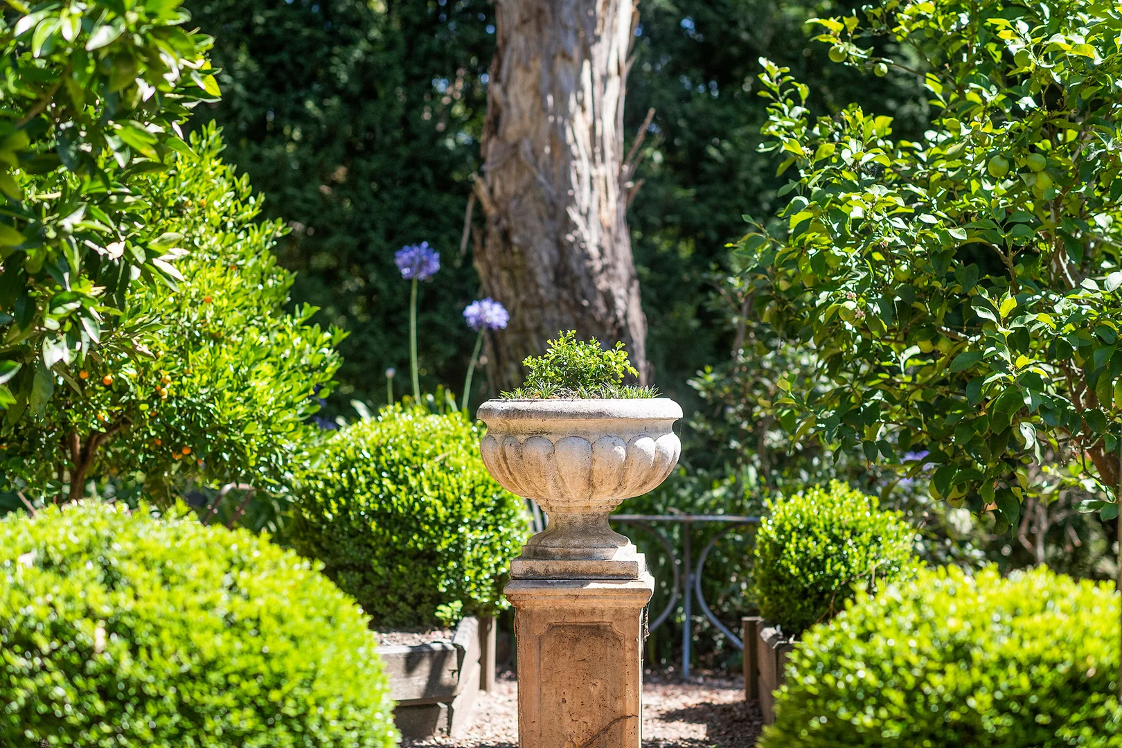 Image 20