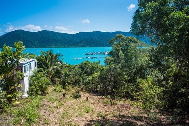 Picture of 40 Harbour Avenue, SHUTE HARBOUR QLD 4802