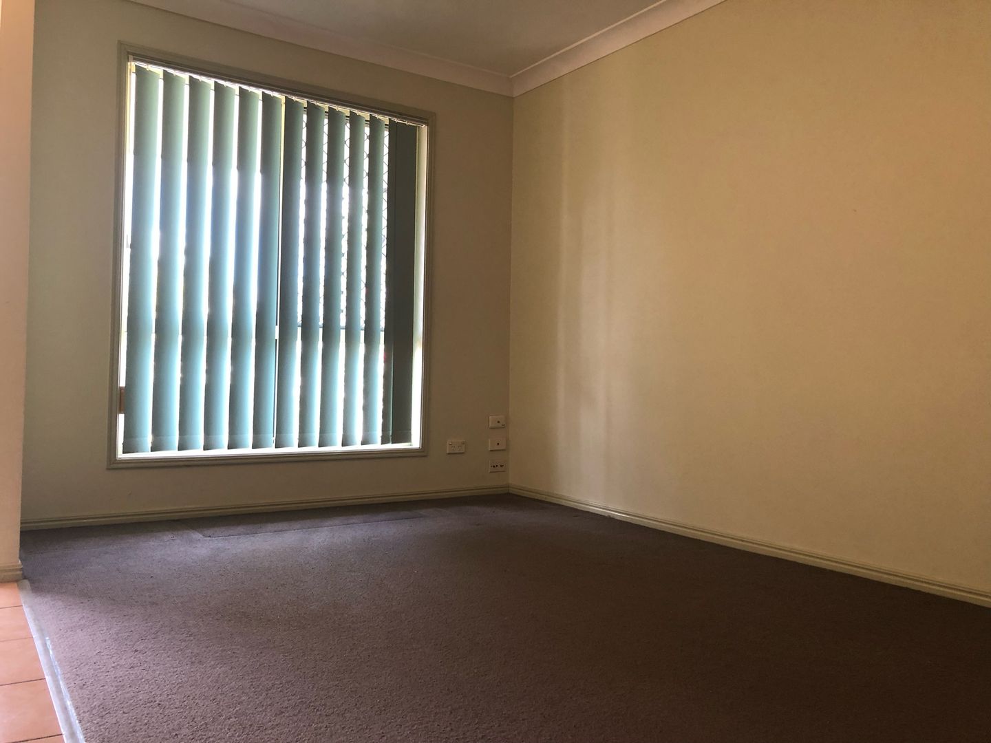 8-118-hamilton-road-moorooka-qld-4105-townhouse-for-rent-domain