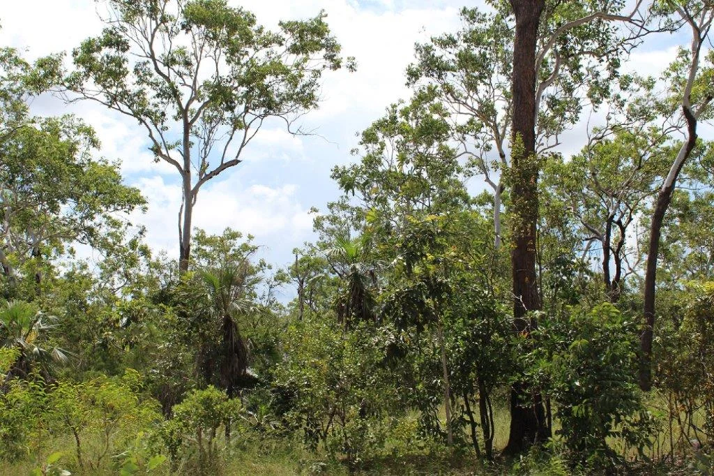 Additional image 19 of 155 Serrata Road, Dundee Downs NT 0840