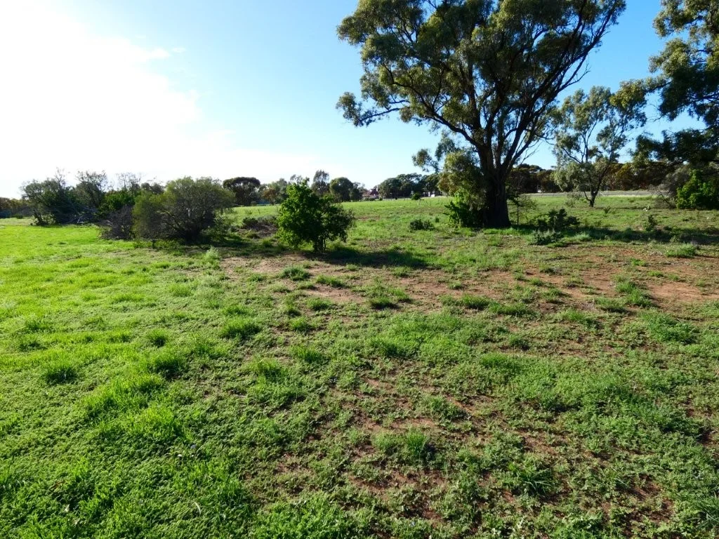 Additional image 3 of 51 Bell St, Beulah VIC 3395