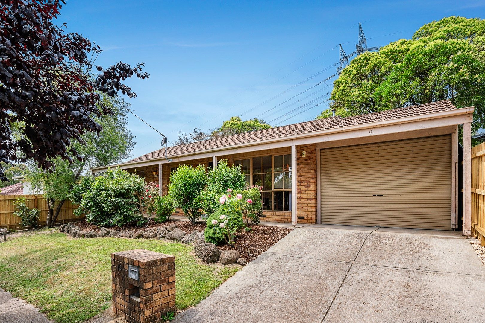Property Report For 19 Dampier Grove Ringwood Vic 3134