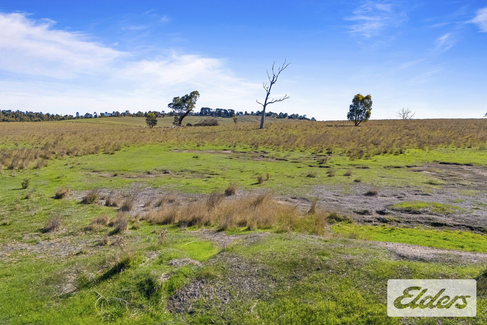 85 Greenhill Creek Road, Lexton VIC 3352, Image 2