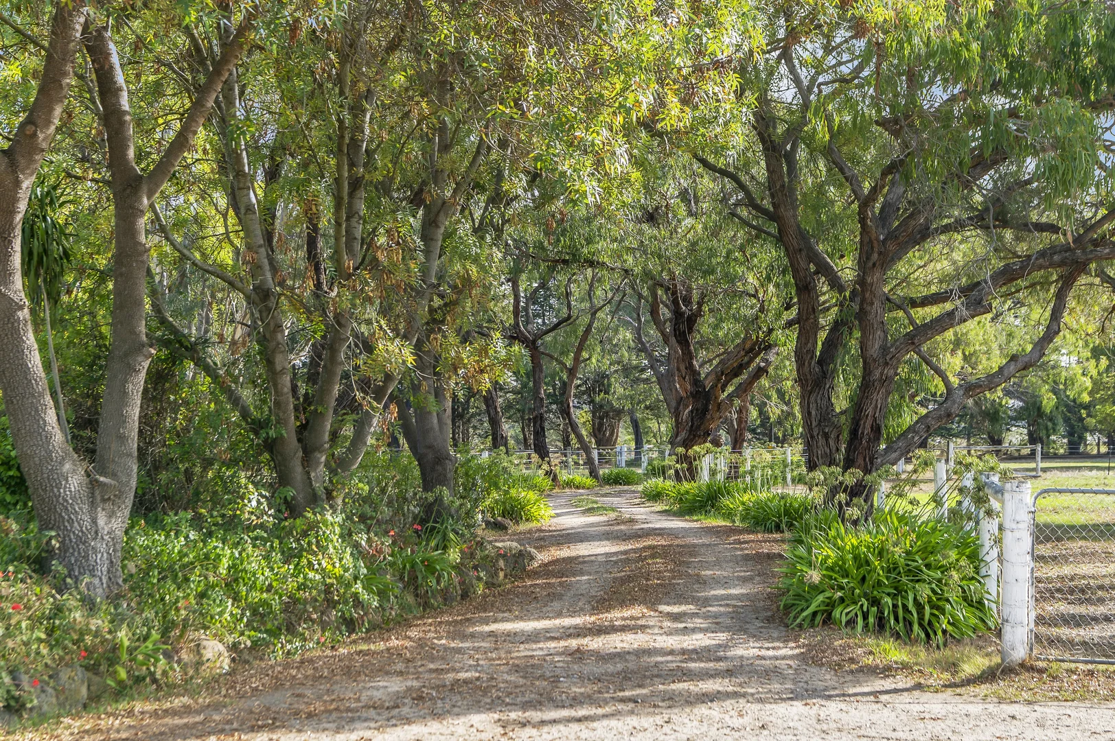 Additional image 2 of 1064 Stumpy Gully Road, Moorooduc VIC 3933