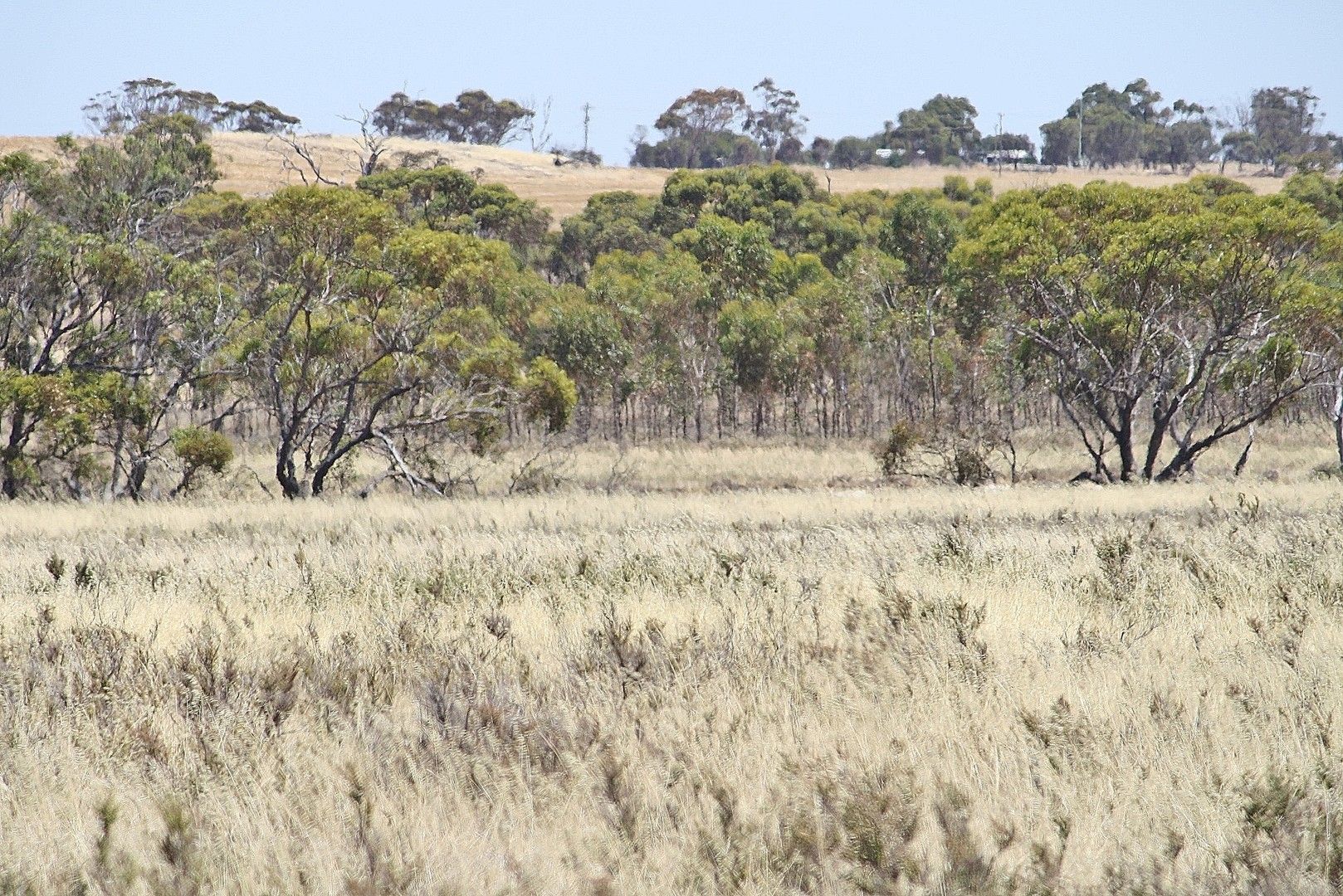 Lot 5887 Dumbleyung/Lake Grace Rd, Dumbleyung WA 6350, Image 0