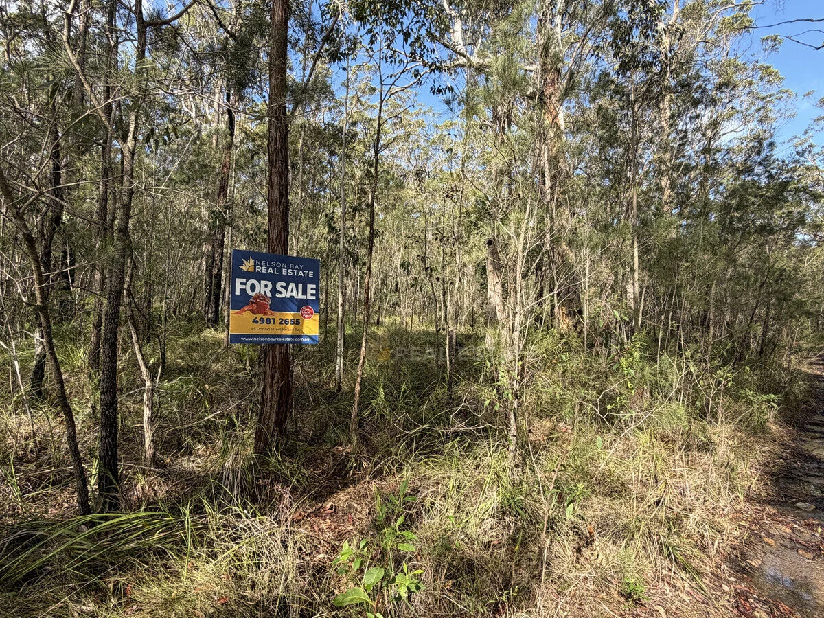 Image 12