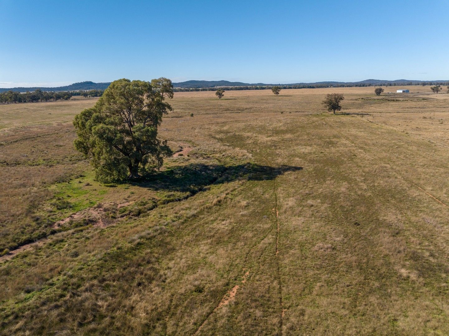 Glengarry 2696 Mitchell Highway, Narromine NSW 2821, Image 0