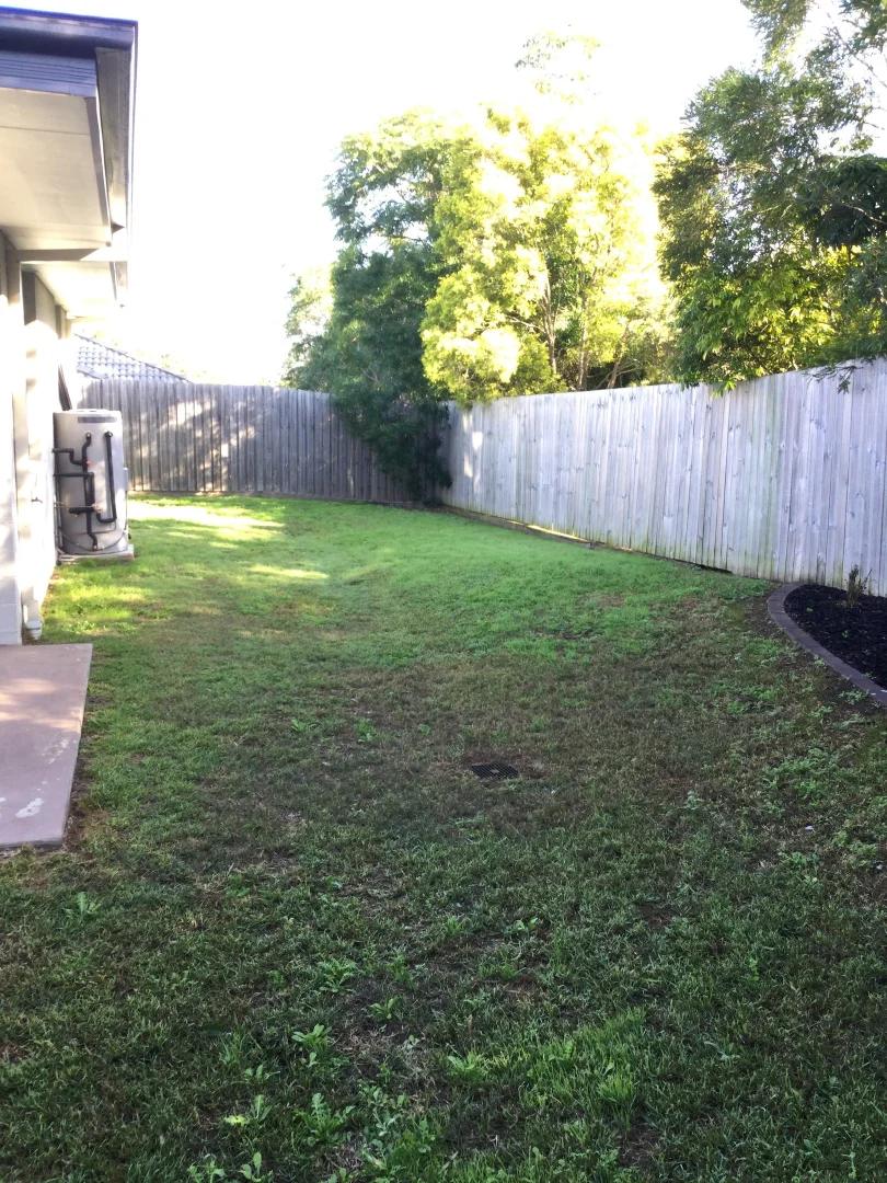 Image 13