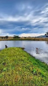 Additional image 13 of 610 Sandy Creek Road, Muswellbrook NSW 2333