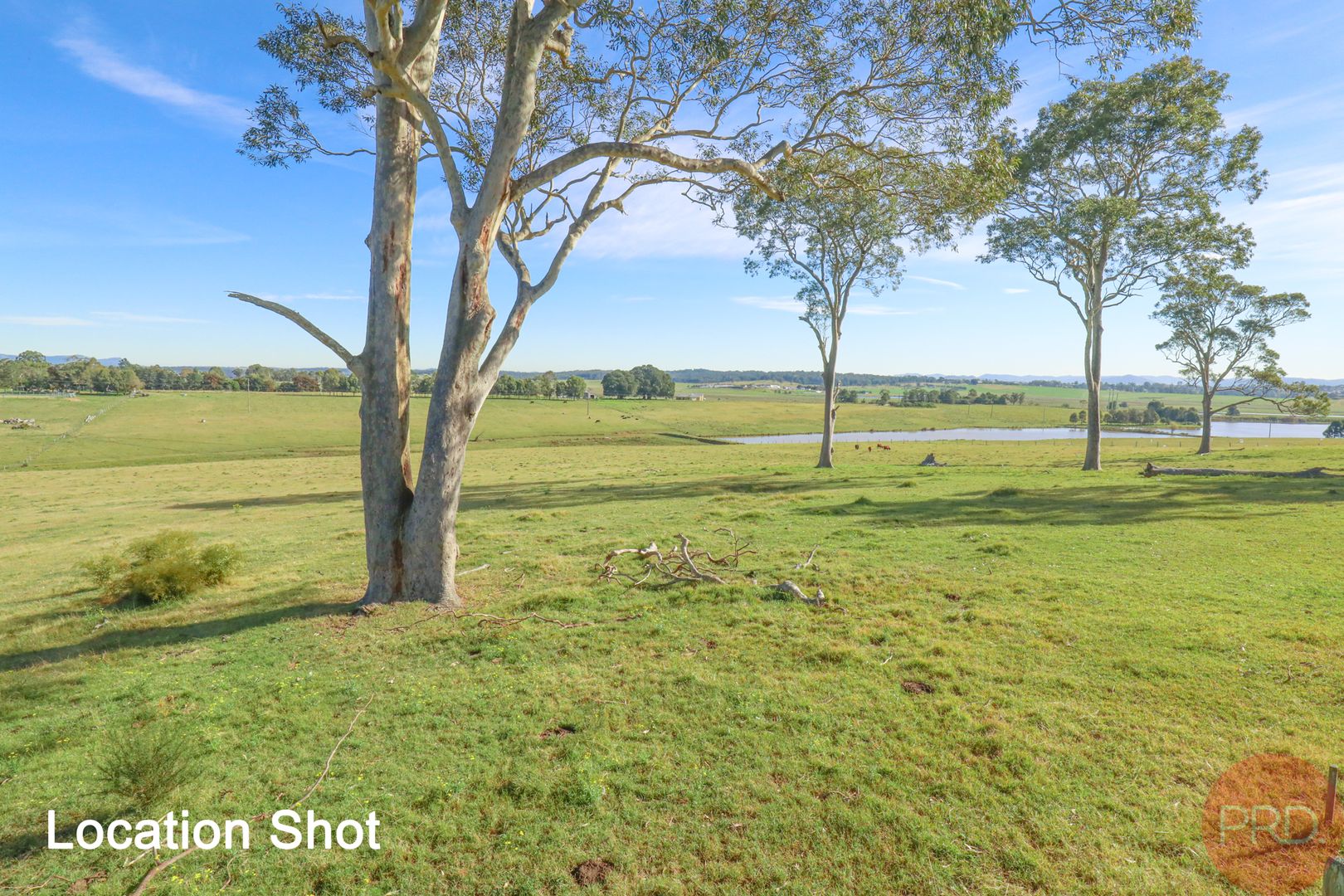 82 Ryans Road, Gillieston Heights NSW 2321, Image 1