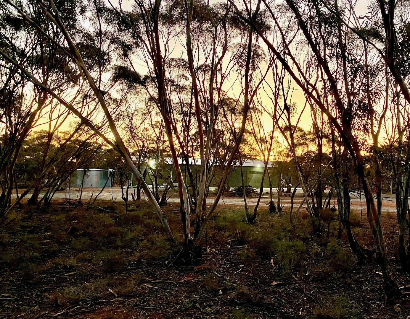 Sec 66 Hundred of Brownlow, Brownlow SA 5374, Image 0