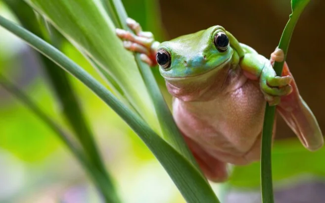 Additional image 18 of 11 Holland Street, Wongaling Beach QLD 4852