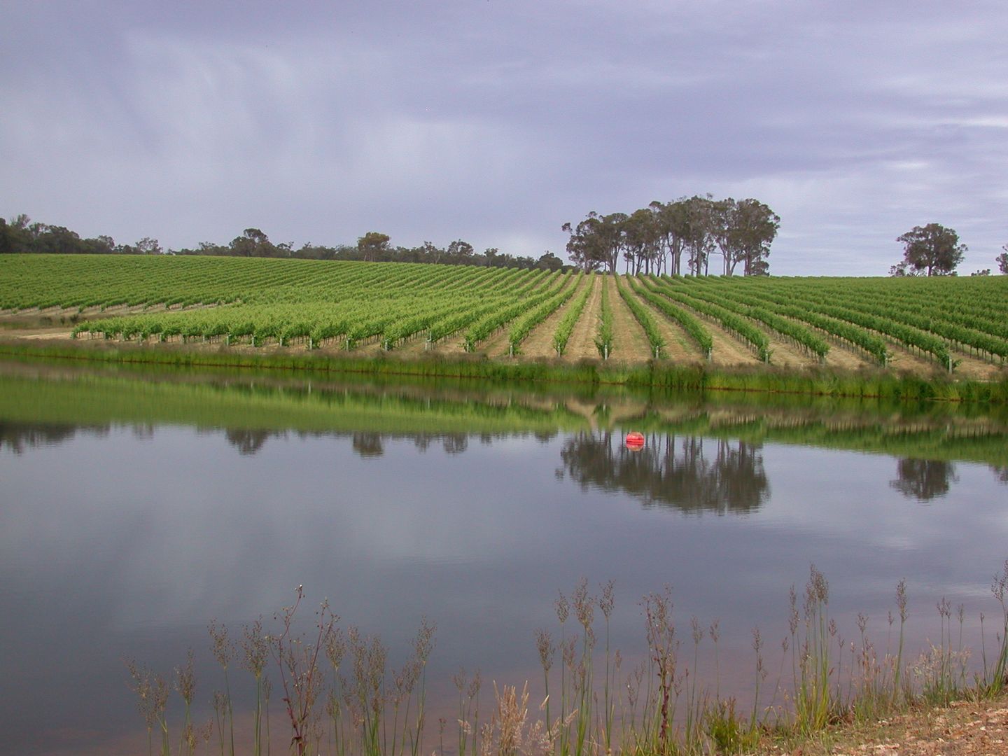 Rosa Glen WA 6285 House for Sale Domain