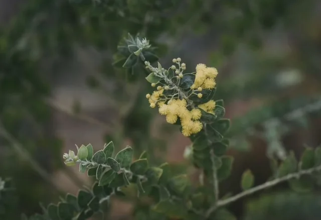 Additional image 82 of 103 Rural Road, Nanango QLD 4615