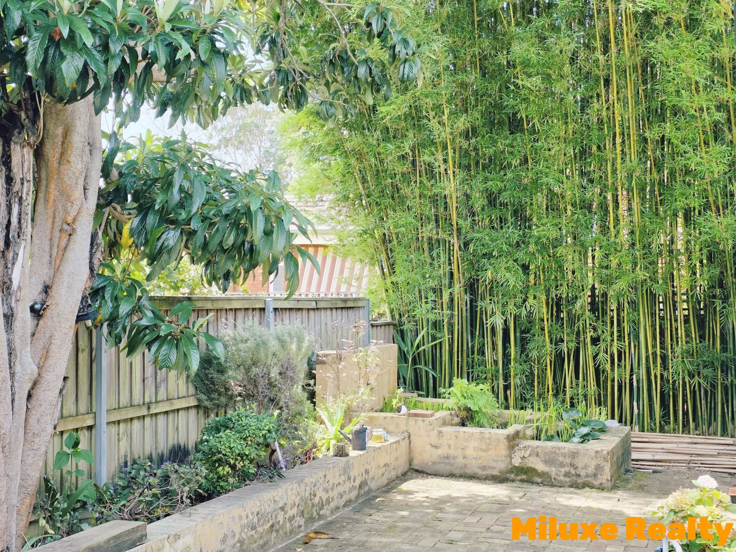 Additional image 10 of 15 Jacques St, Chatswood NSW 2067