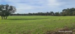 Image 14